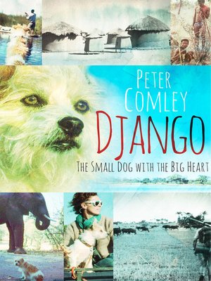 Django - ebook